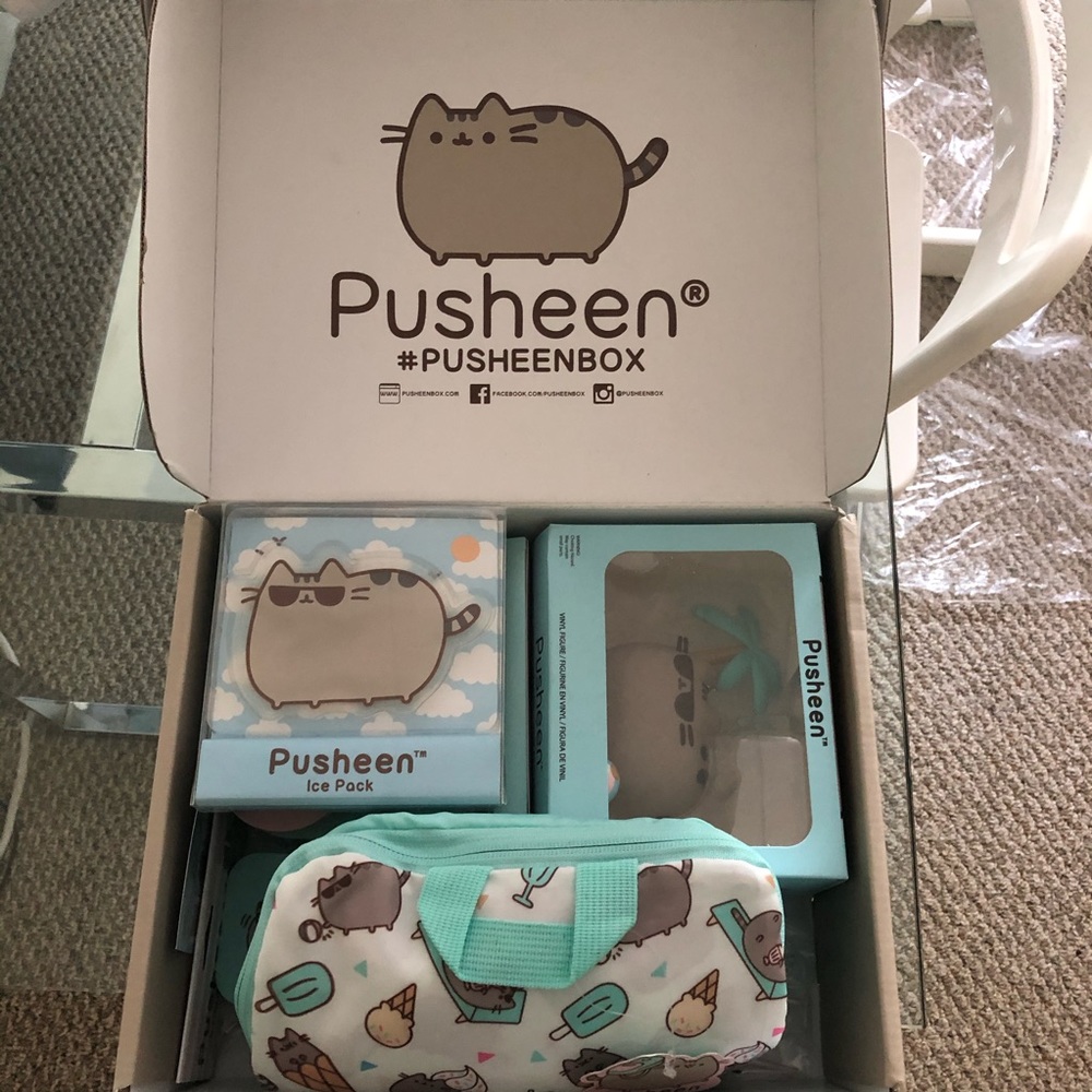 ❌SOLD❌ Pusheen box summer edition
